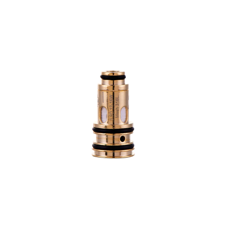 Dotmod AIO V2 코일